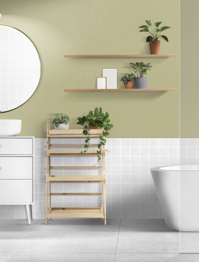 Plantas ideais para decorar banheiros e lavabos